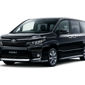 voxy